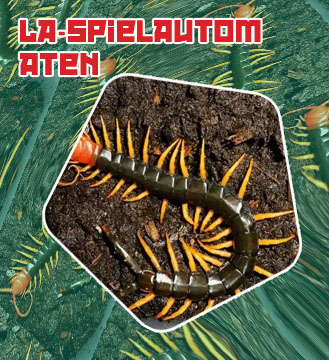 Centipede automat