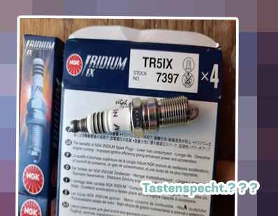 Tastenspecht tr5